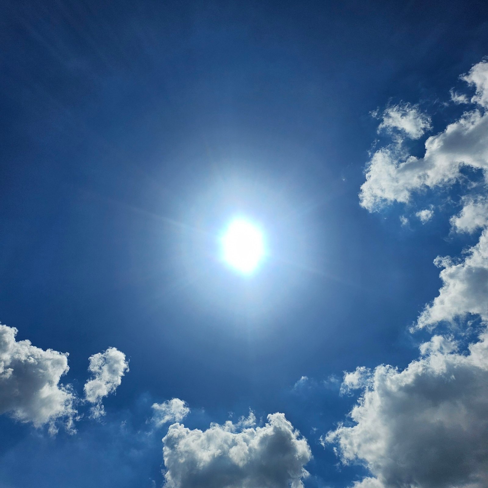 [기고] 우리는 왜 배달민족이라 하는가